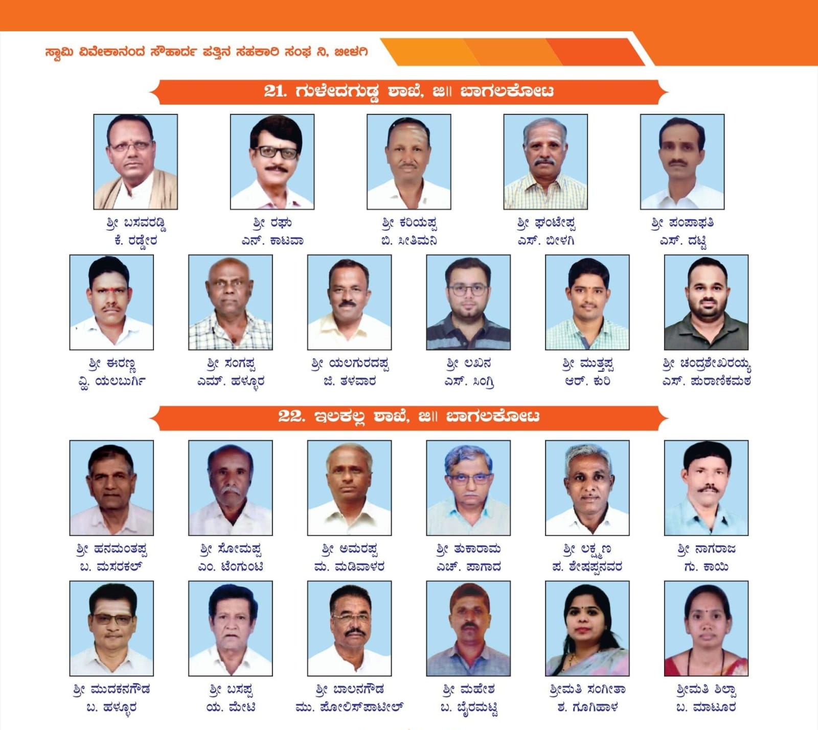 Advisory Committee Collage